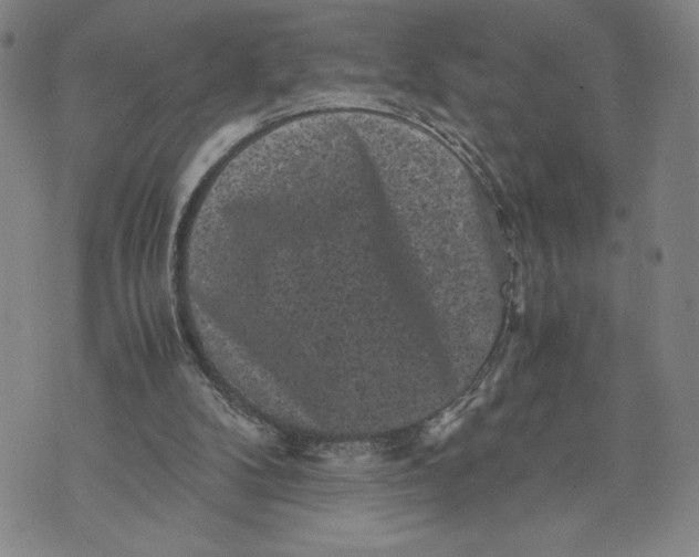 X0000072500104200608041451