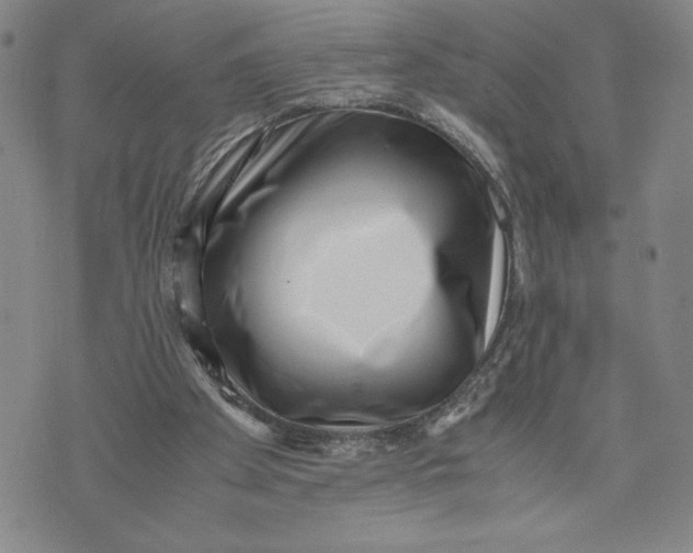 X0000072500105200608041451