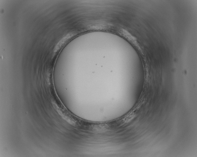 X0000072500106200608041451