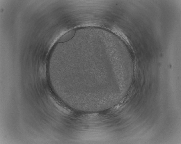 X0000072500108200608041451