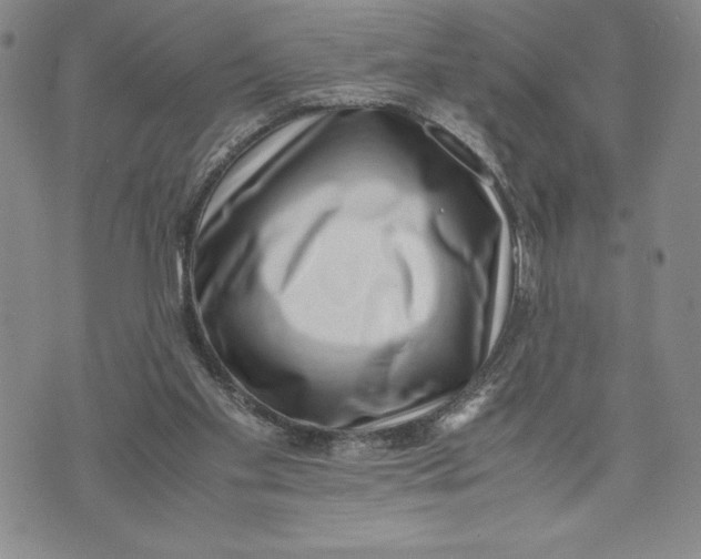 X0000072500109200608041451