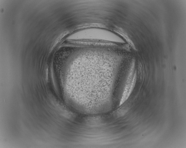 X0000072500110200608041451