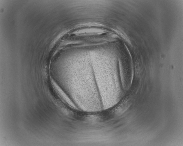 X0000072500111200608041451