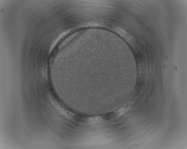 X0000072500112200608041451