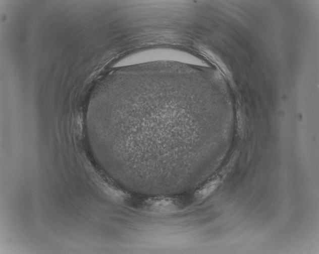 X0000072500113200608041451