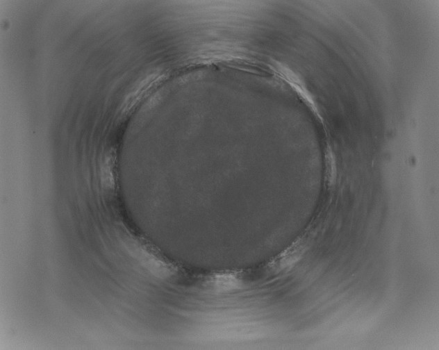 X0000072500114200608041451