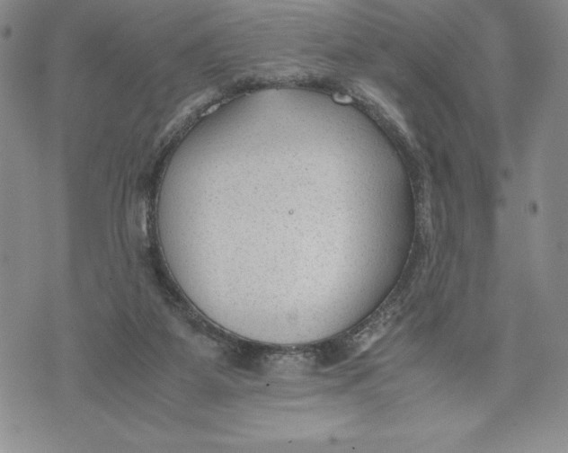 X0000072500115200608041451