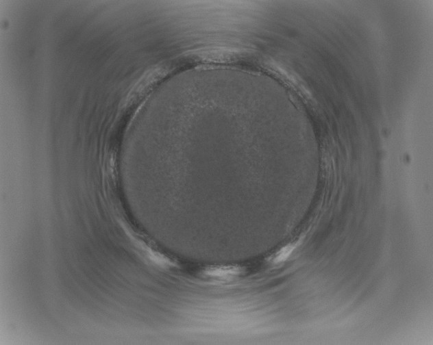 X0000072500117200608041451