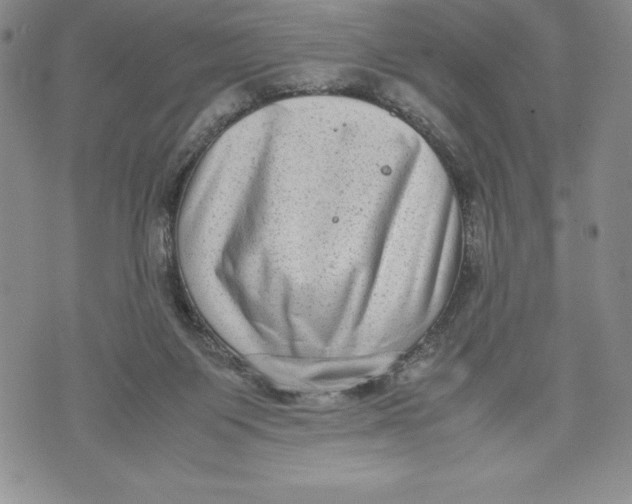 X0000072500119200608041451