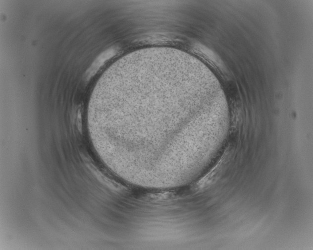 X0000072500120200608041451