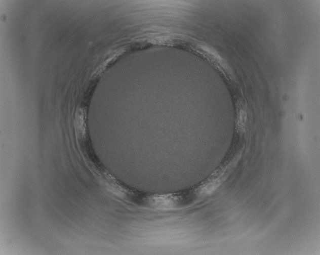 X0000072500121200608041451