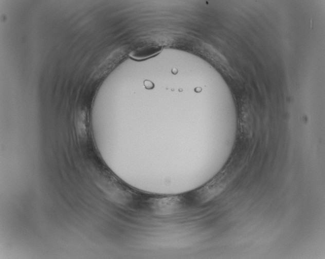 X0000072500122200608041451