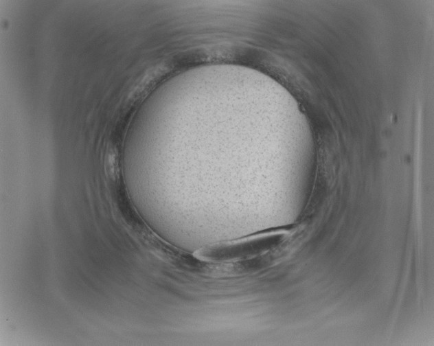 X0000072500123200608041451