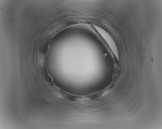 X0000072500125200608041451