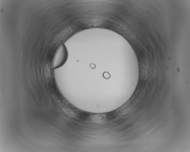 X0000072500126200608041451