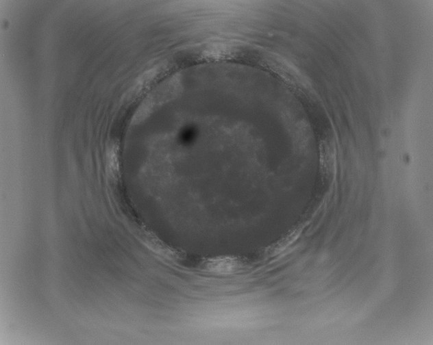 X0000072500127200608041451