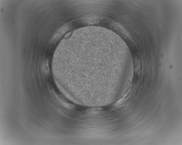 X0000072500128200608041451