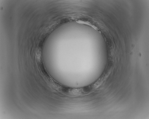 X0000072500129200608041451