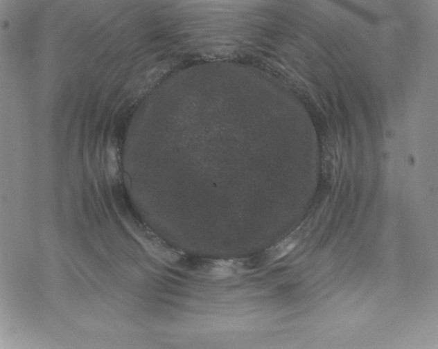 X0000072500130200608041451