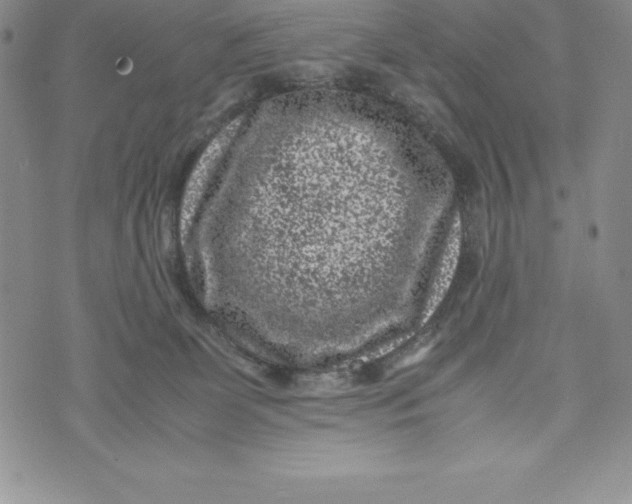 X0000072500131200608041451