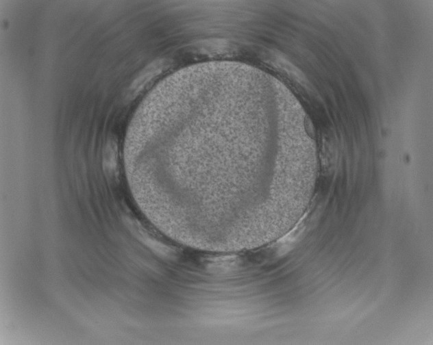 X0000072500132200608041451