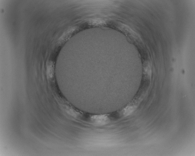 X0000072500133200608041451