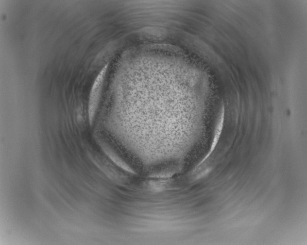 X0000072500134200608041451