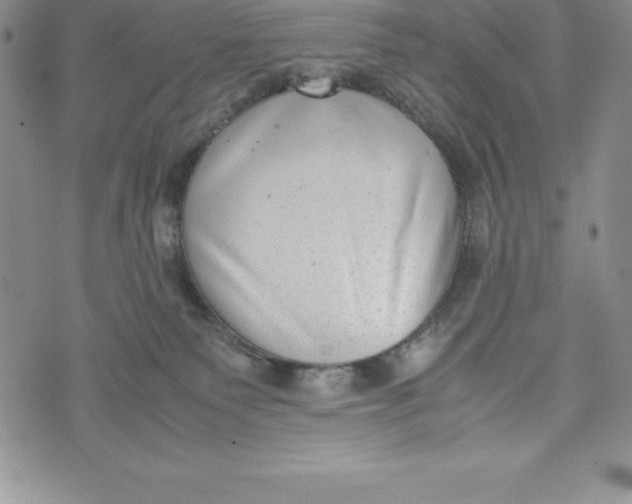 X0000072500135200608041451