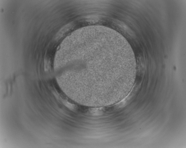 X0000072500136200608041451