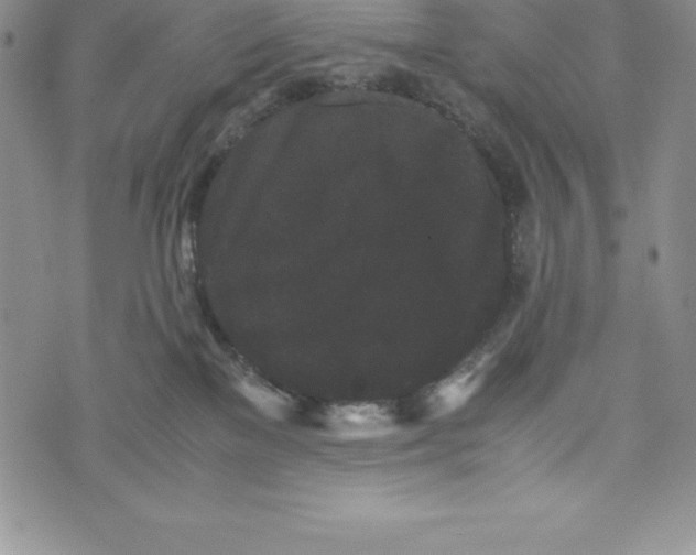 X0000072500137200608041451