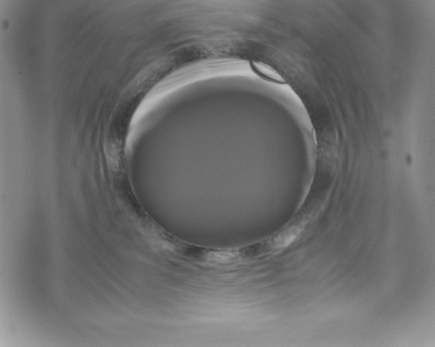 X0000072500139200608041451