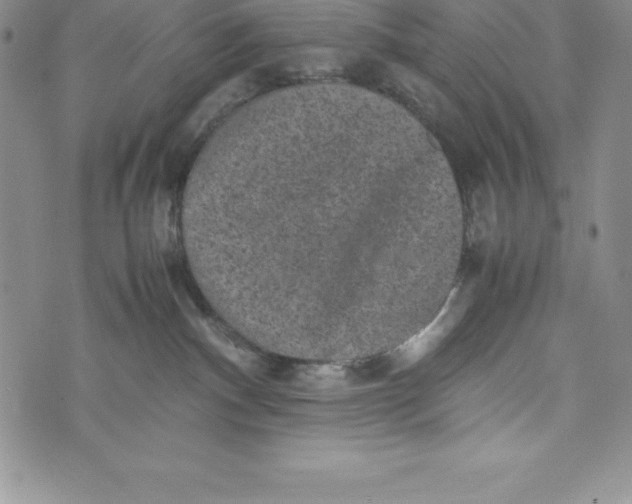 X0000072500140200608041451