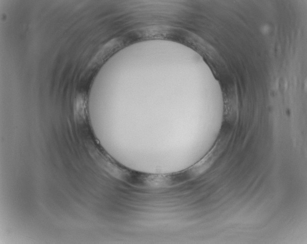 X0000072500142200608041451