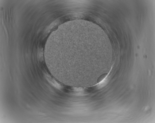 X0000072500144200608041450