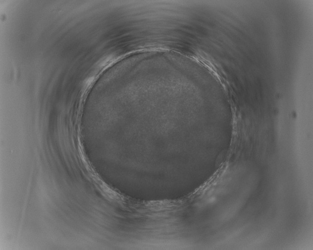 X0000072500145200608041450