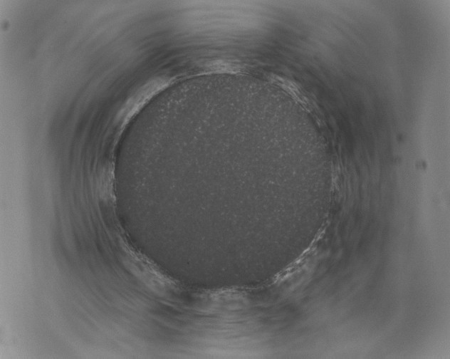 X0000072500146200608041450