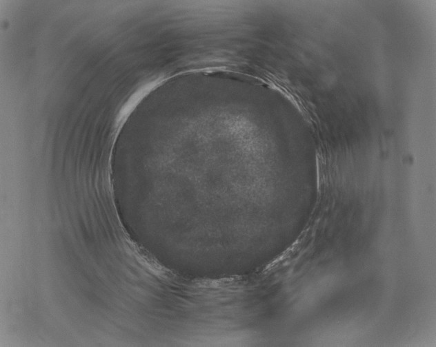 X0000072500147200608041450