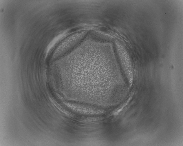 X0000072500149200608041450