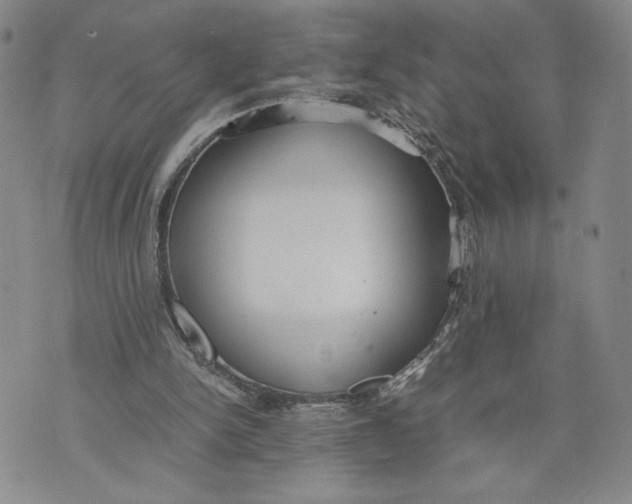 X0000072500150200608041450