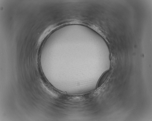 X0000072500151200608041450