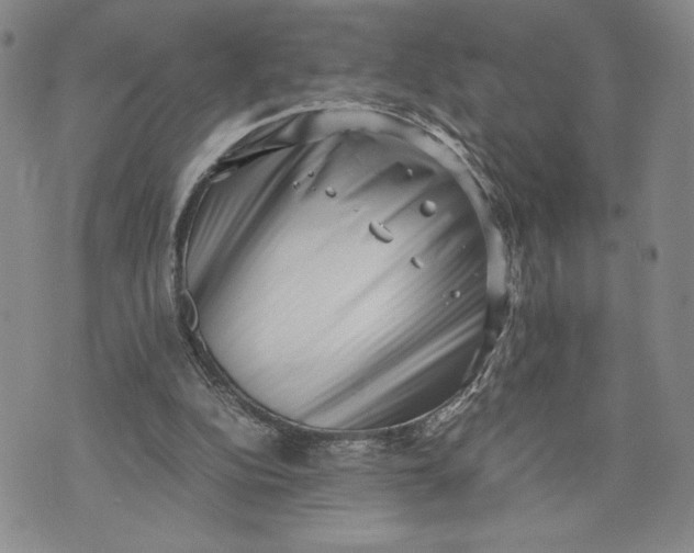 X0000072500152200608041450