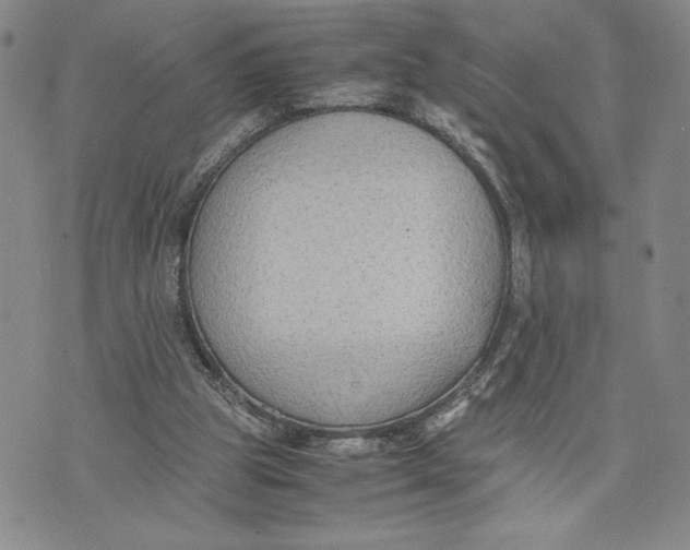 X0000072500153200608041450