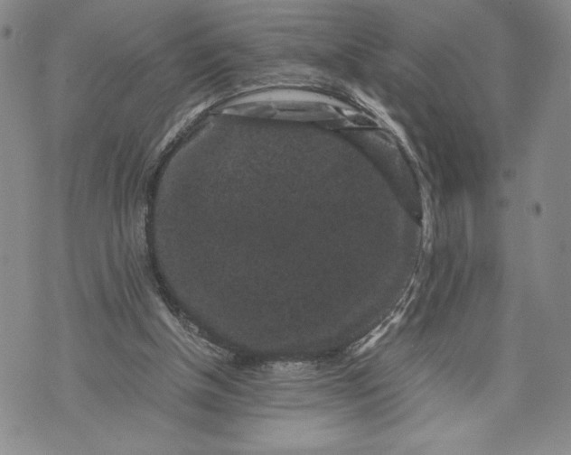 X0000072500154200608041450