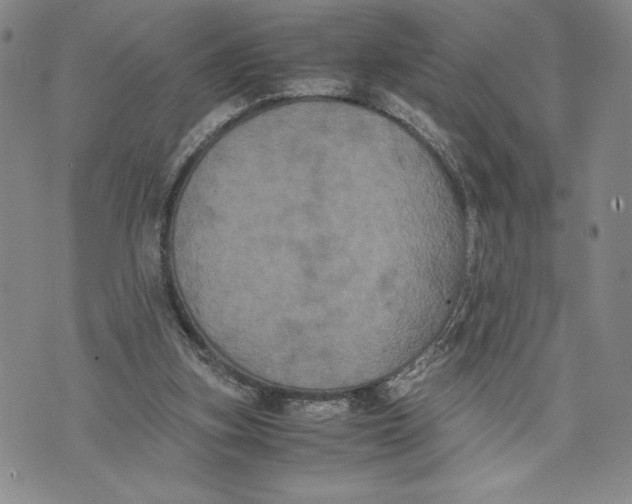 X0000072500155200608041450