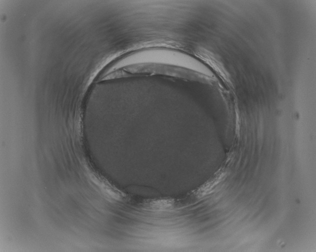 X0000072500156200608041450