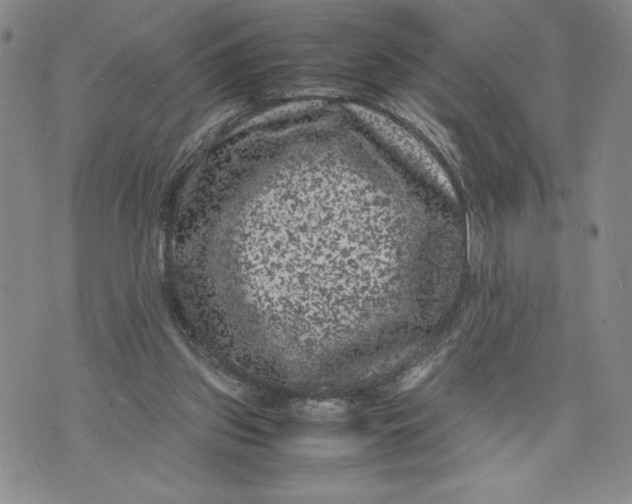 X0000072500157200608041450