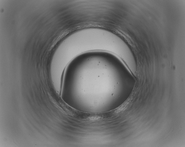 X0000072500158200608041450