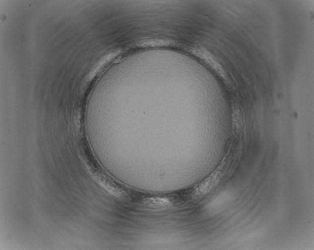 X0000072500159200608041450