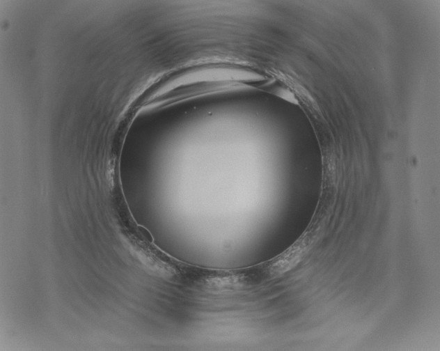 X0000072500160200608041450