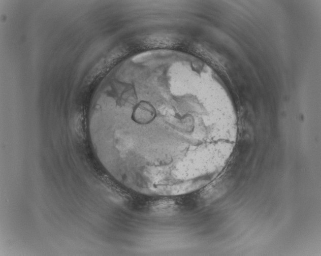 X0000072500162200608041450